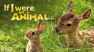 If I were an Animal (2016) on Netflix in Canada If I were an Animal (2016) on Netflix in Canada